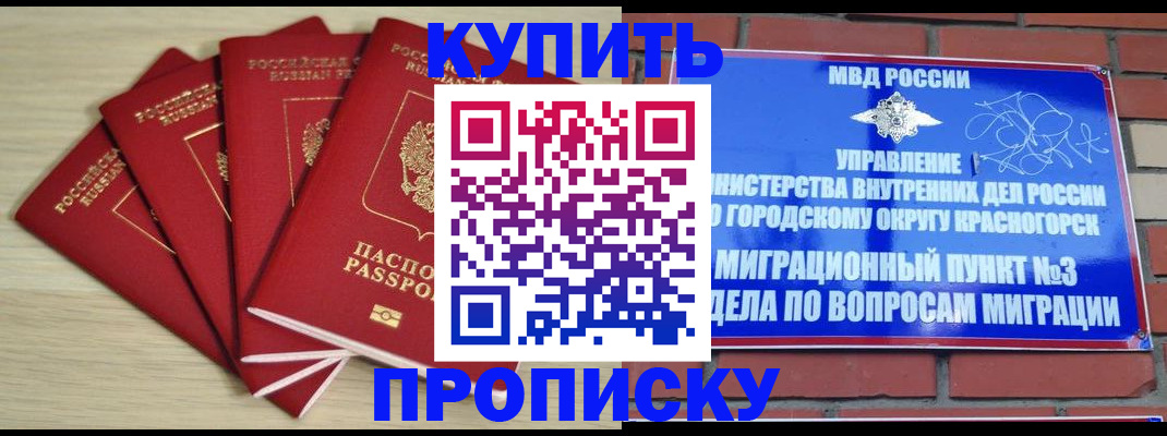 пропишу в квартире в Орехово-Зуево